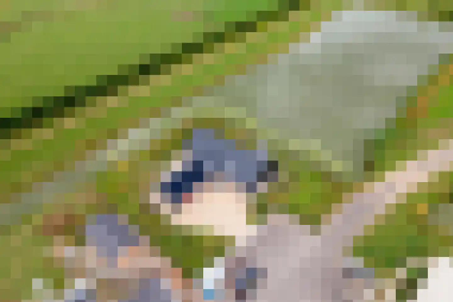 Erichemsewal 1 f Erichem thumbnail 89