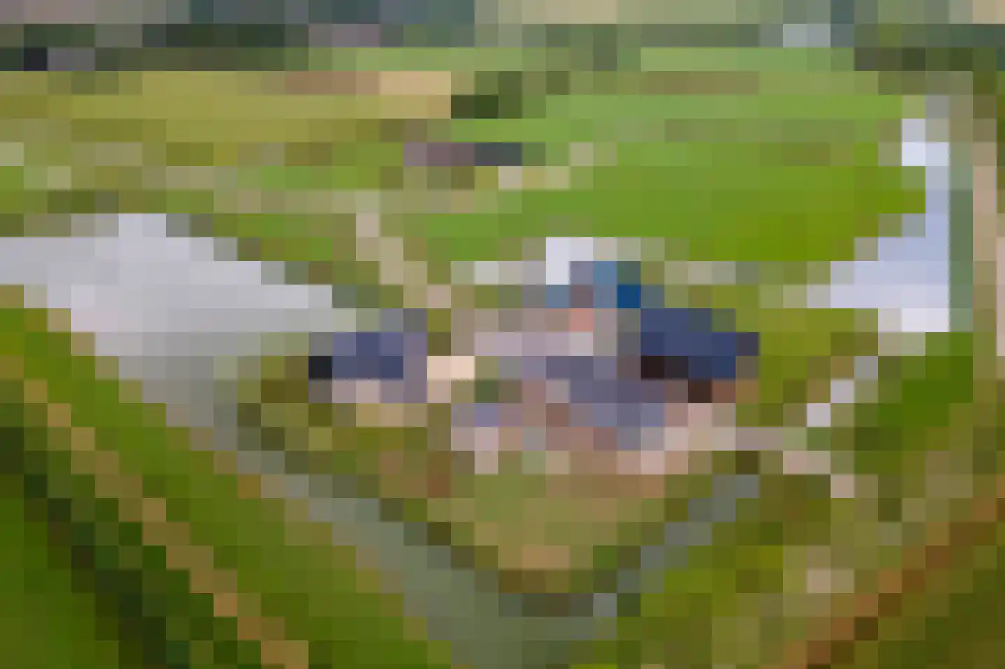 Erichemsewal 1 f Erichem thumbnail 90