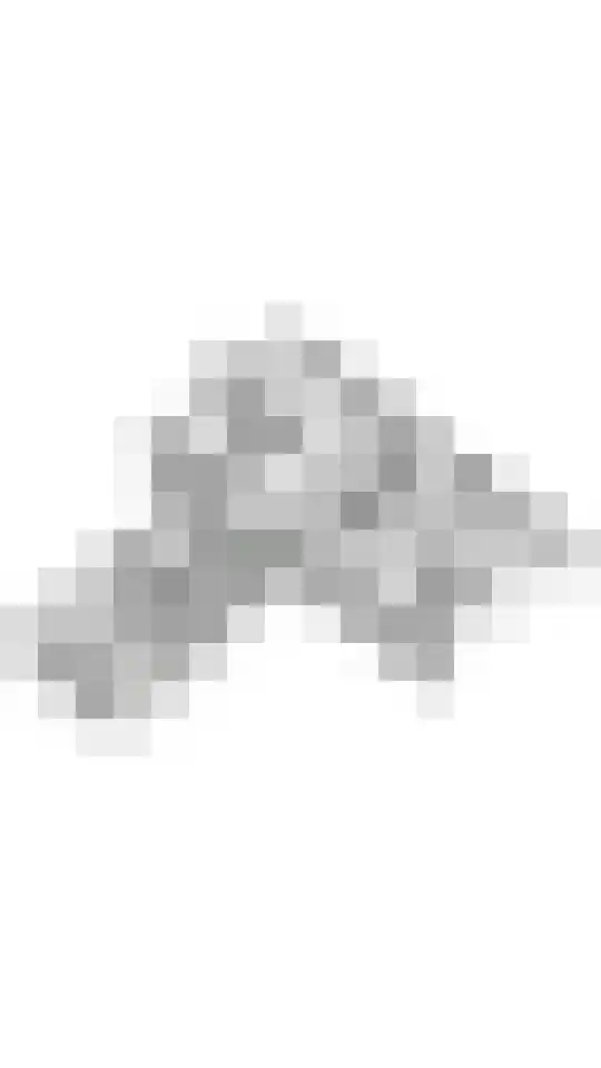 Erichemsewal 1 f Erichem thumbnail 93