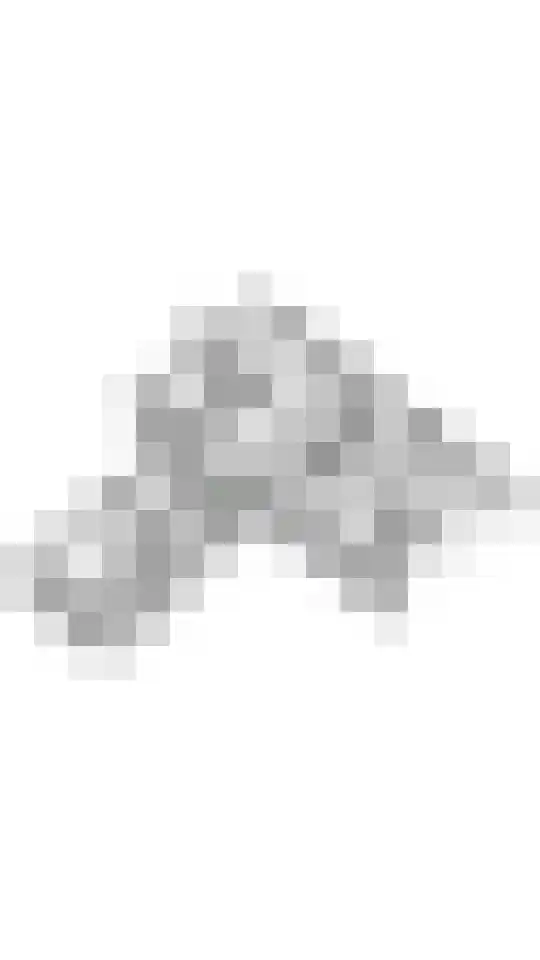 Erichemsewal 1 f Erichem thumbnail 95