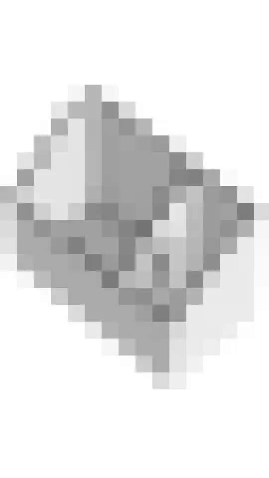 Erichemsewal 1 f Erichem thumbnail 97