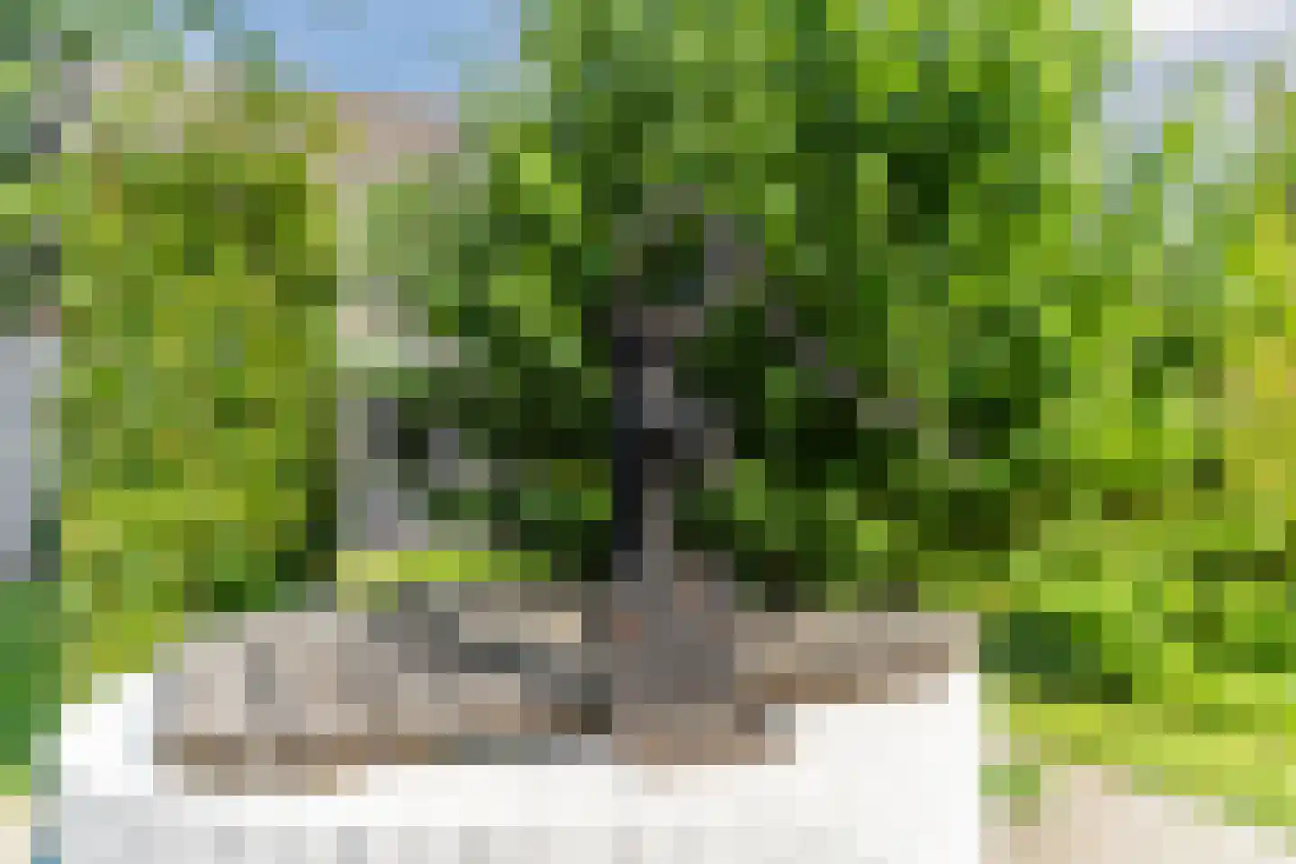 Erichemseweg 28 Erichem thumbnail 50