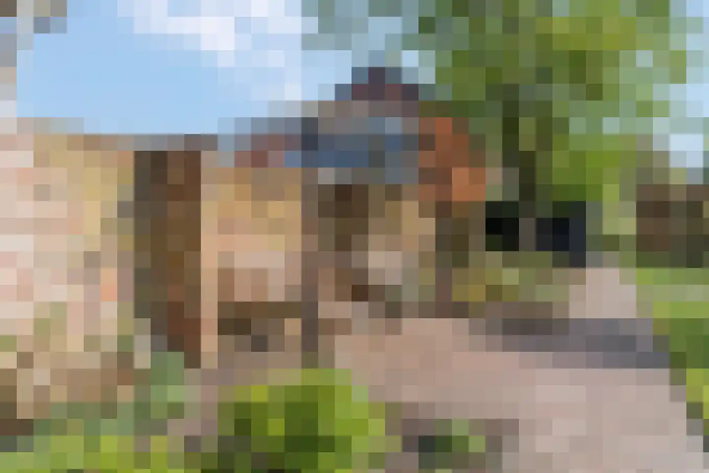 Erichemseweg 28 Erichem thumbnail 52