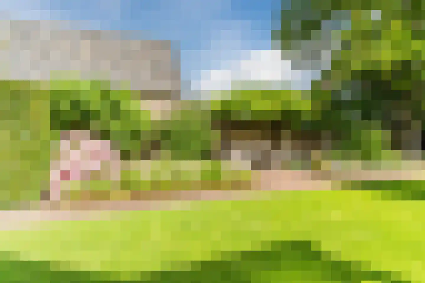 Erichemseweg 28 Erichem thumbnail 54
