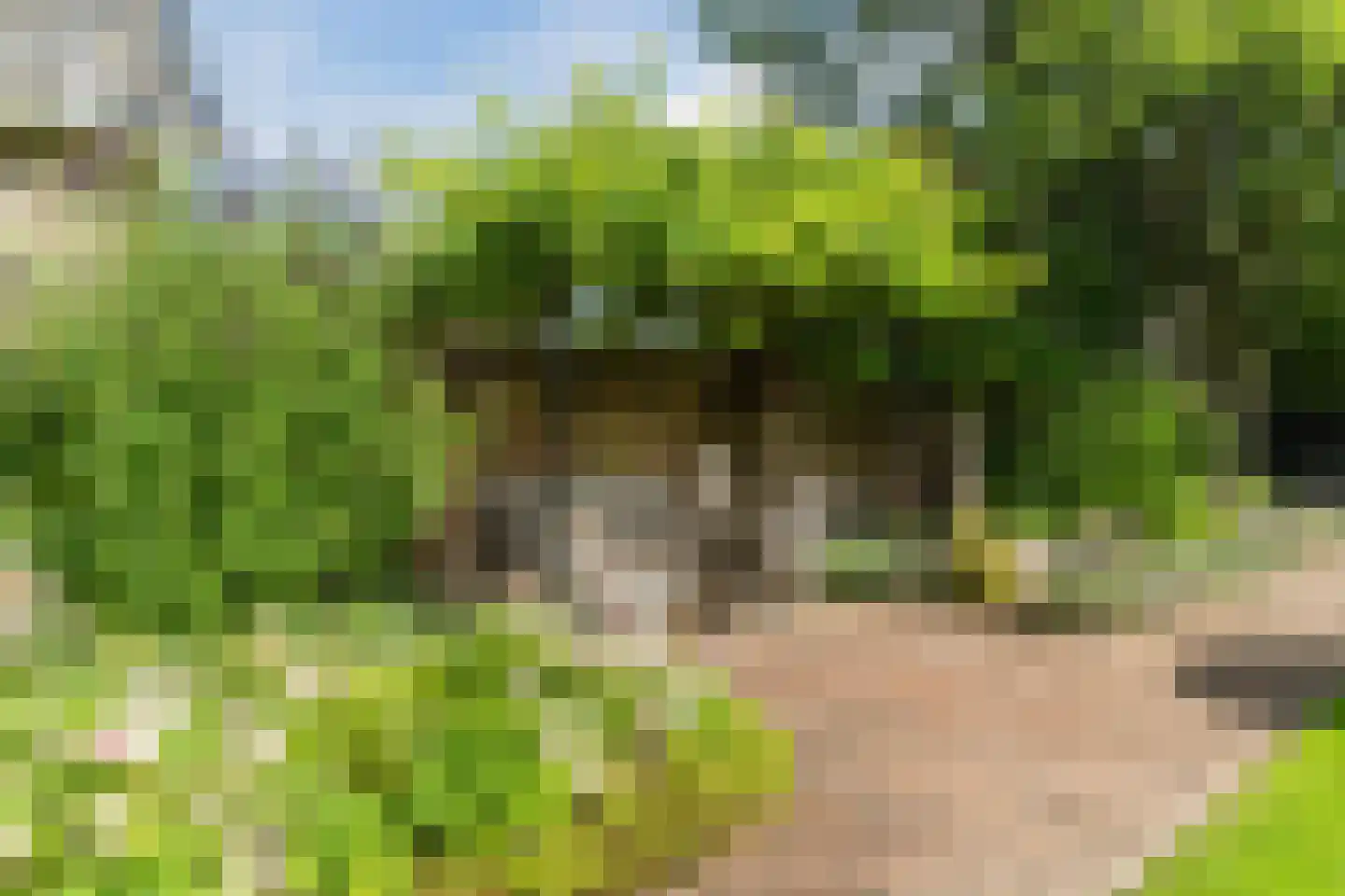 Erichemseweg 28 Erichem thumbnail 55