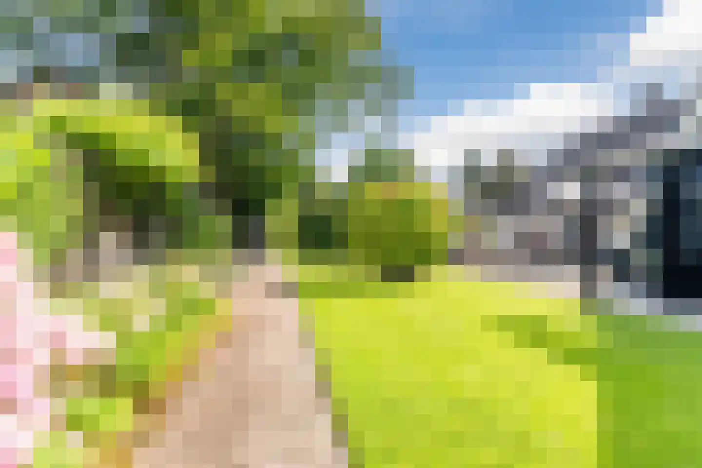 Erichemseweg 28 Erichem thumbnail 62