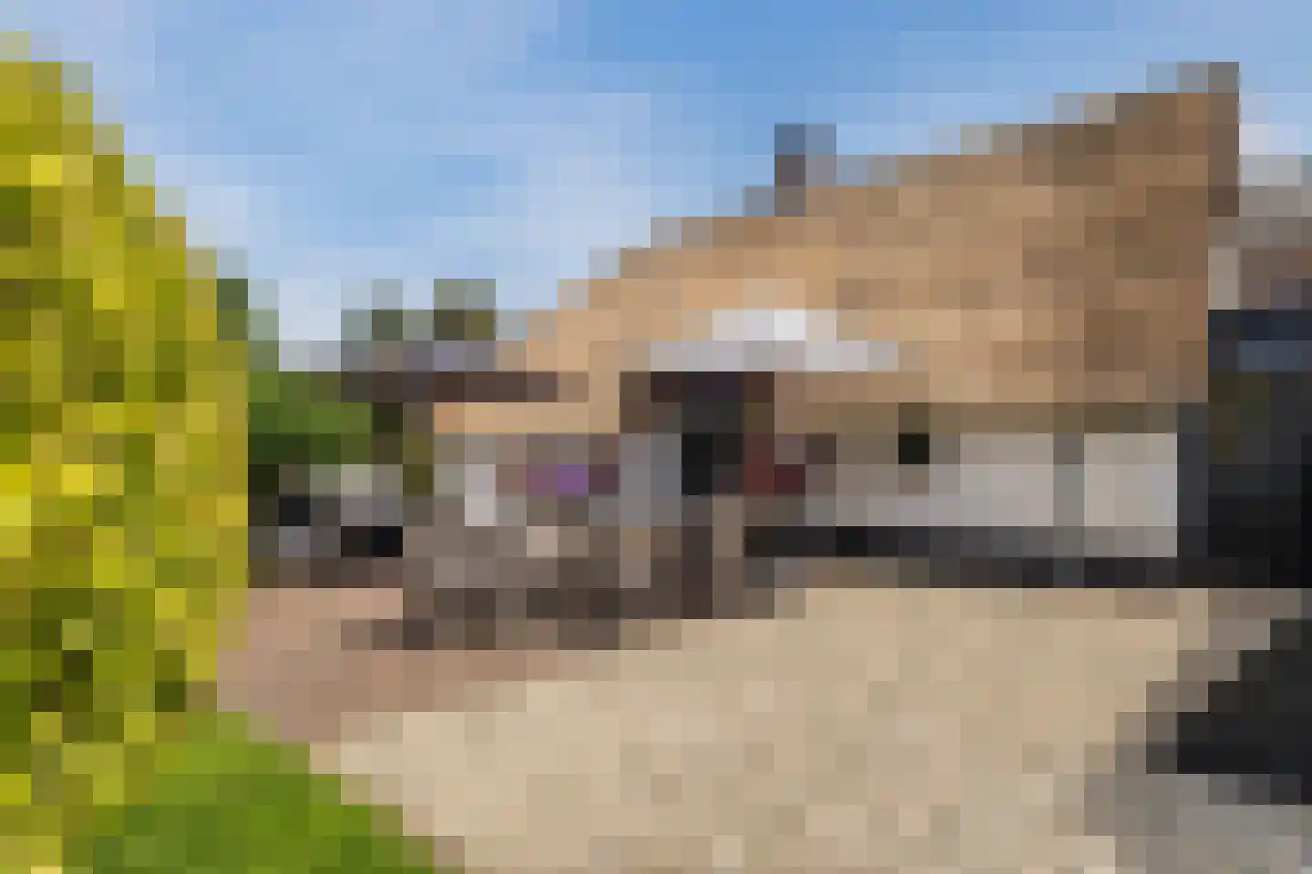 Erichemseweg 28 Erichem thumbnail 68