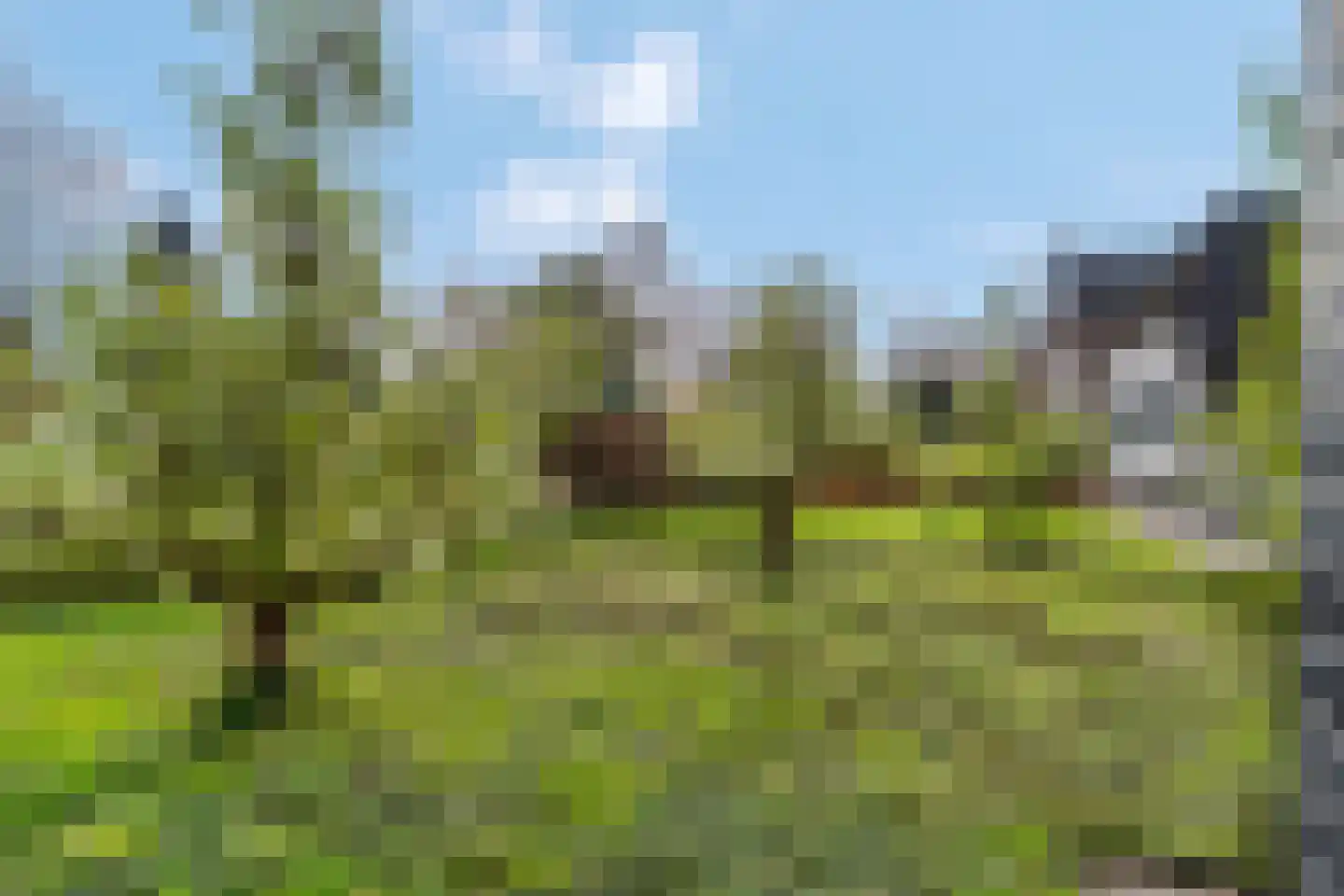 Erichemseweg 28 Erichem thumbnail 71