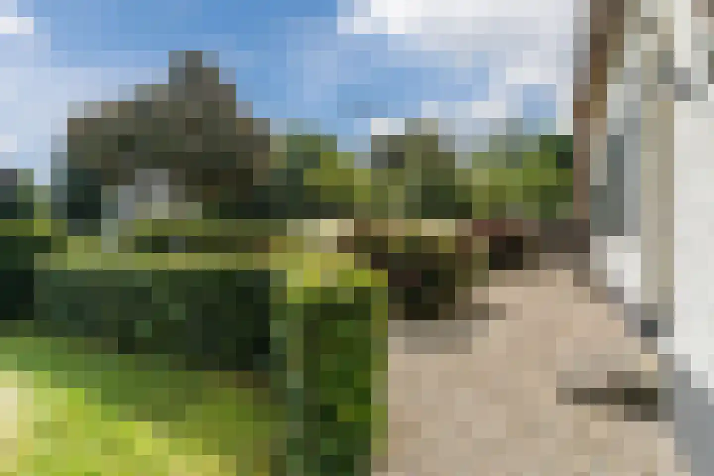 Erichemseweg 28 Erichem thumbnail 72