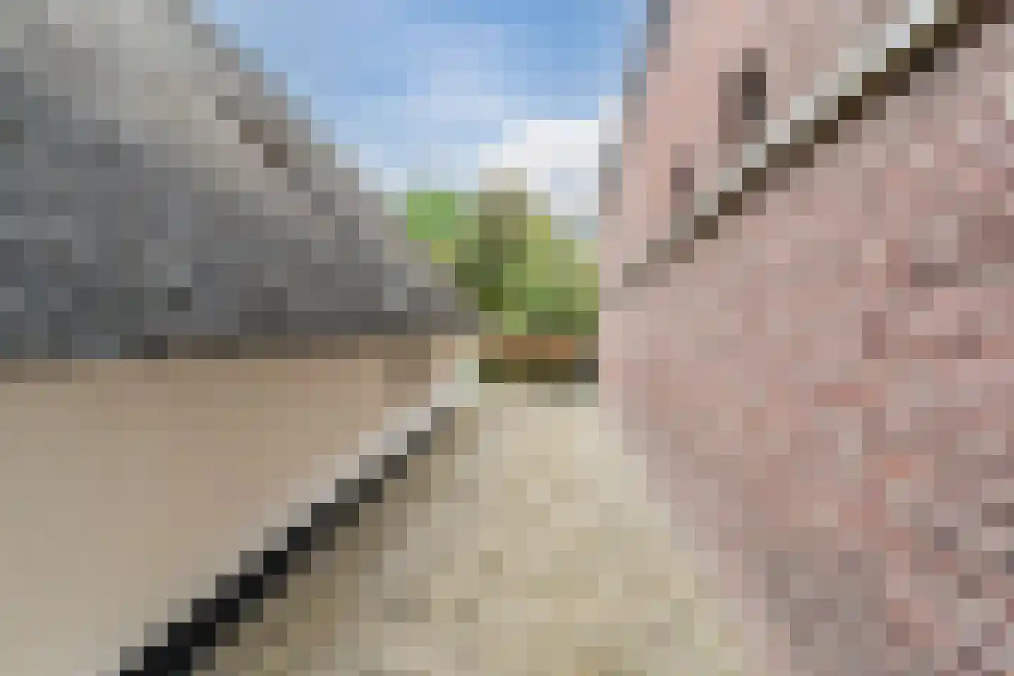 Erichemseweg 28 Erichem thumbnail 75