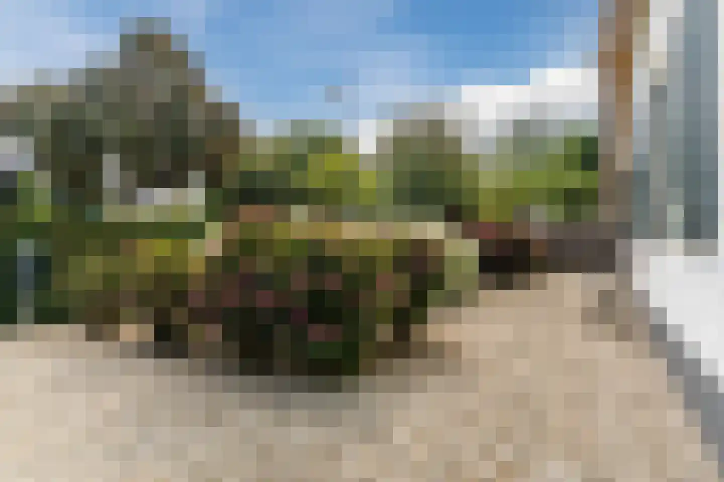 Erichemseweg 28 Erichem thumbnail 77