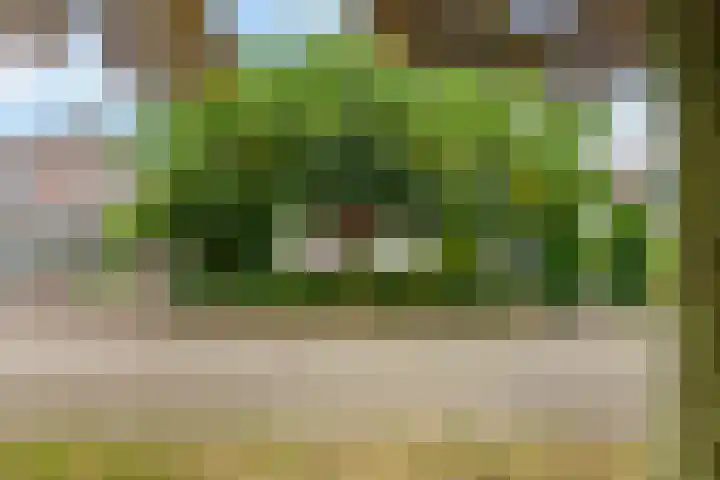 Erichemseweg 42 Erichem thumbnail 4