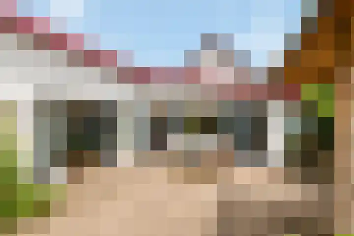 Erichemseweg 42 Erichem thumbnail 6