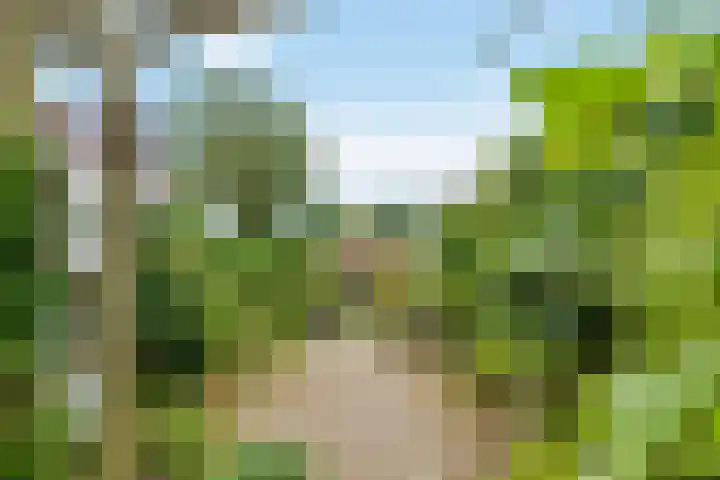 Erichemseweg 42 Erichem thumbnail 7