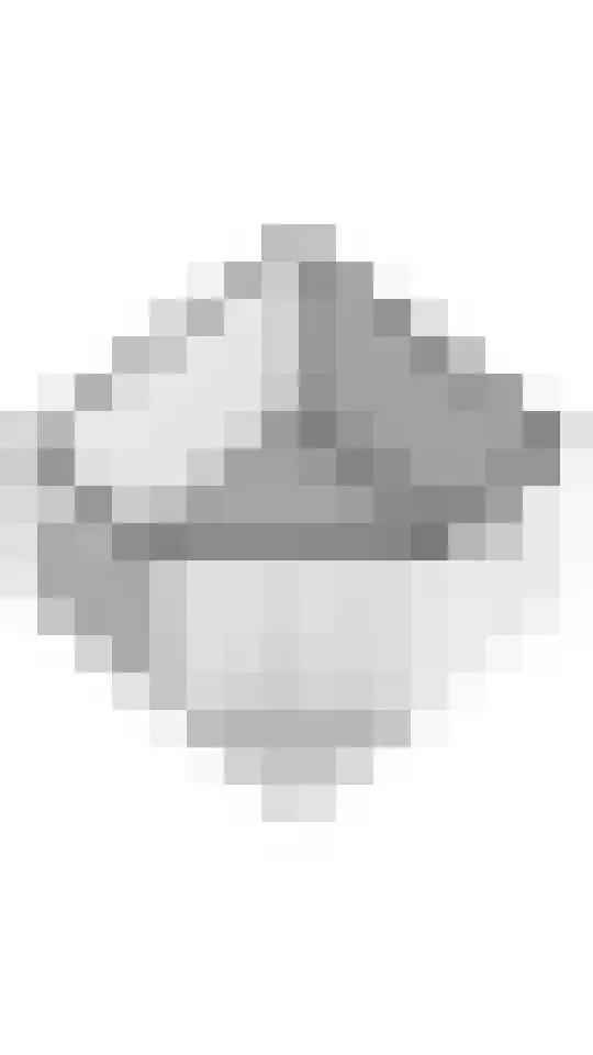 Erichemseweg 42 Erichem thumbnail 71