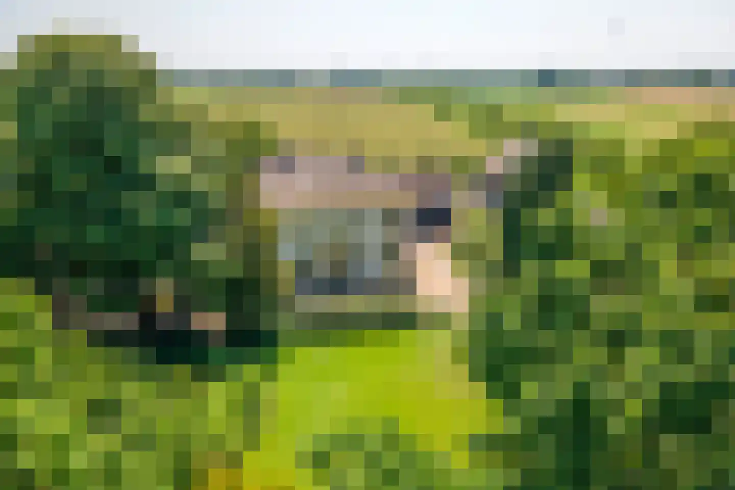 Erichemseweg 62 Erichem thumbnail 112