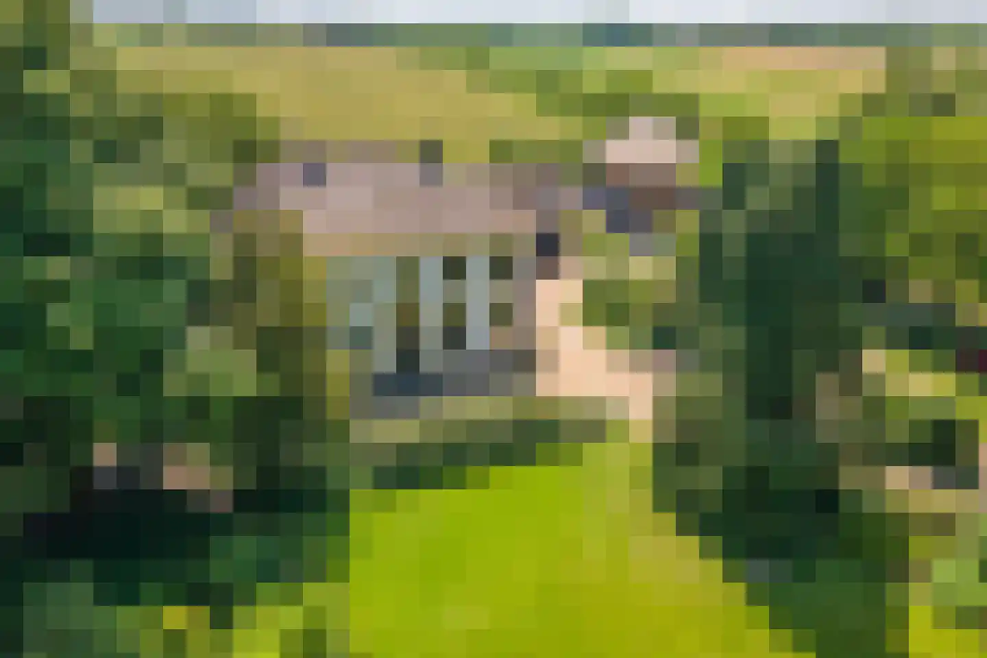 Erichemseweg 62 Erichem thumbnail 113