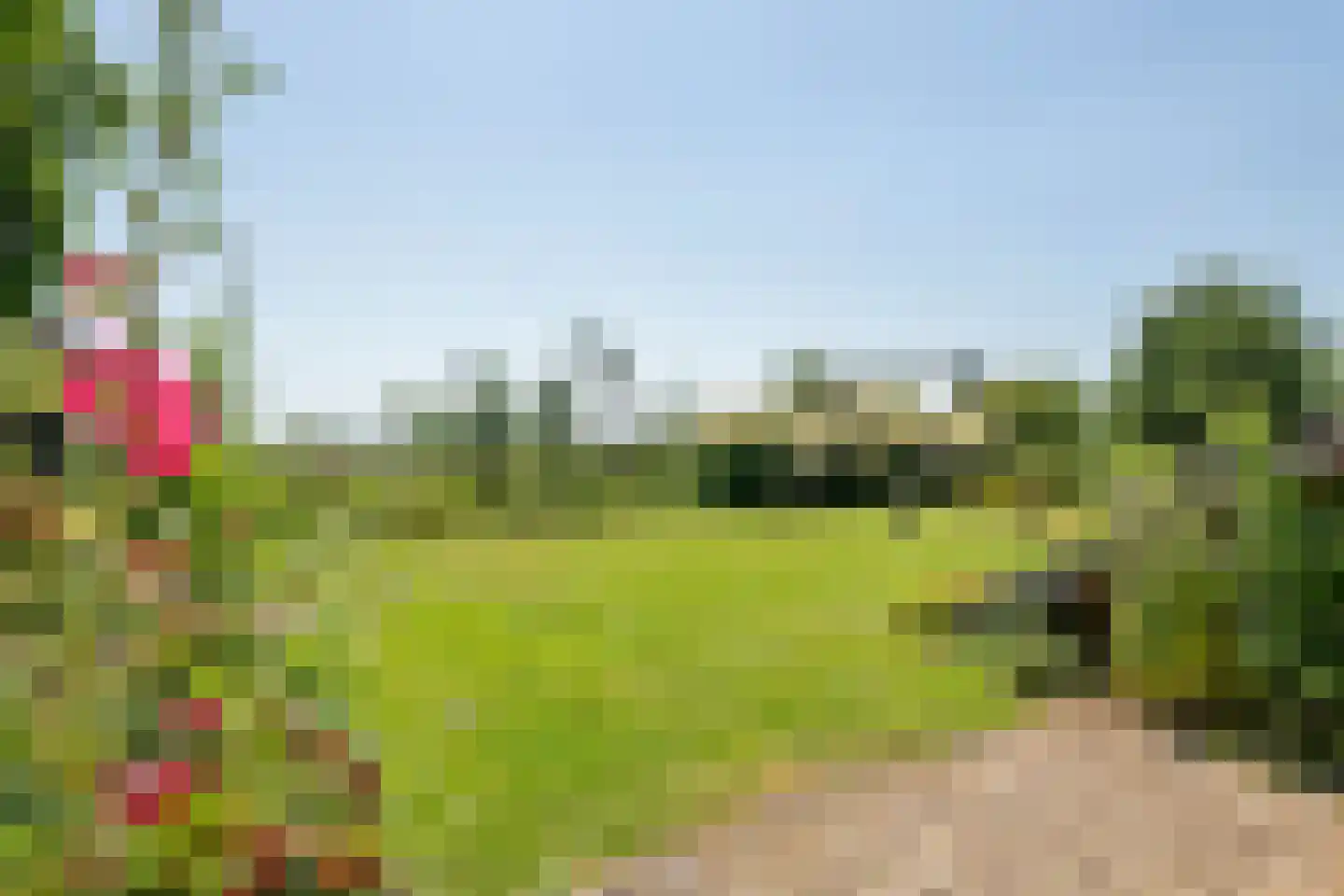 Erichemseweg 62 Erichem thumbnail 25
