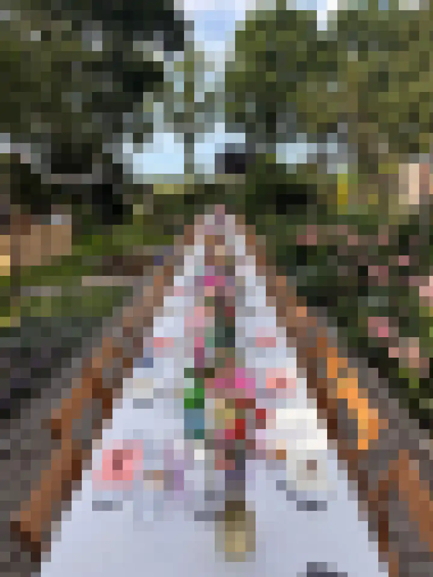 Erichemseweg 62 Erichem thumbnail 29