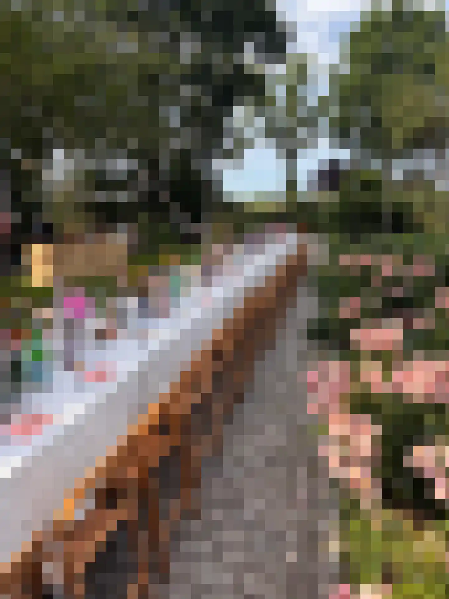 Erichemseweg 62 Erichem thumbnail 30