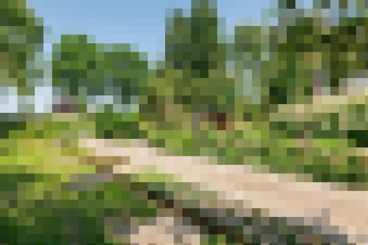 Erichemseweg 62 Erichem thumbnail 31