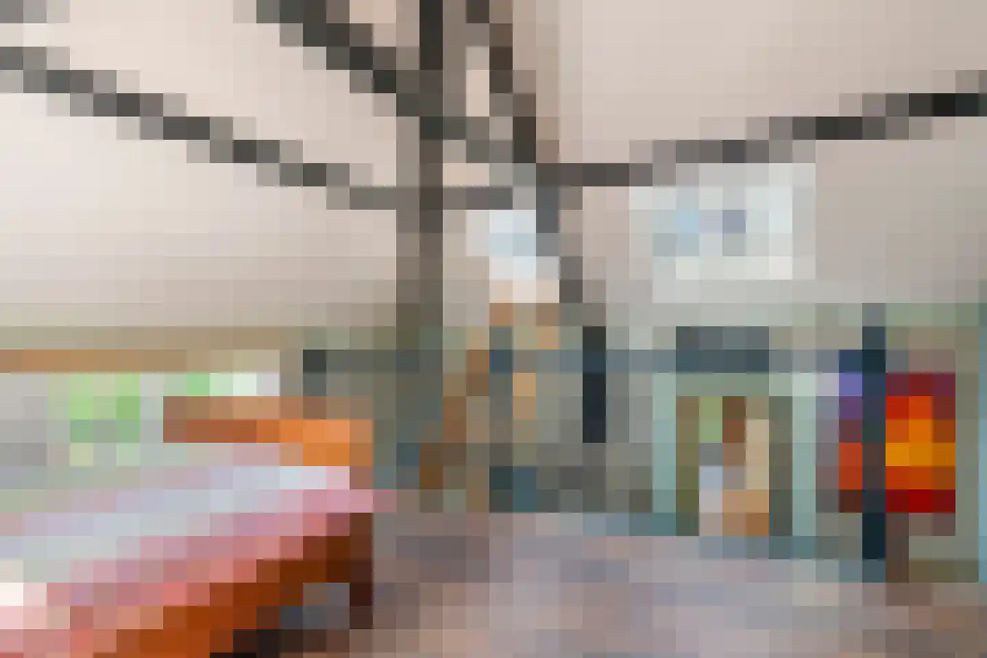 Erichemseweg 62 Erichem thumbnail 69