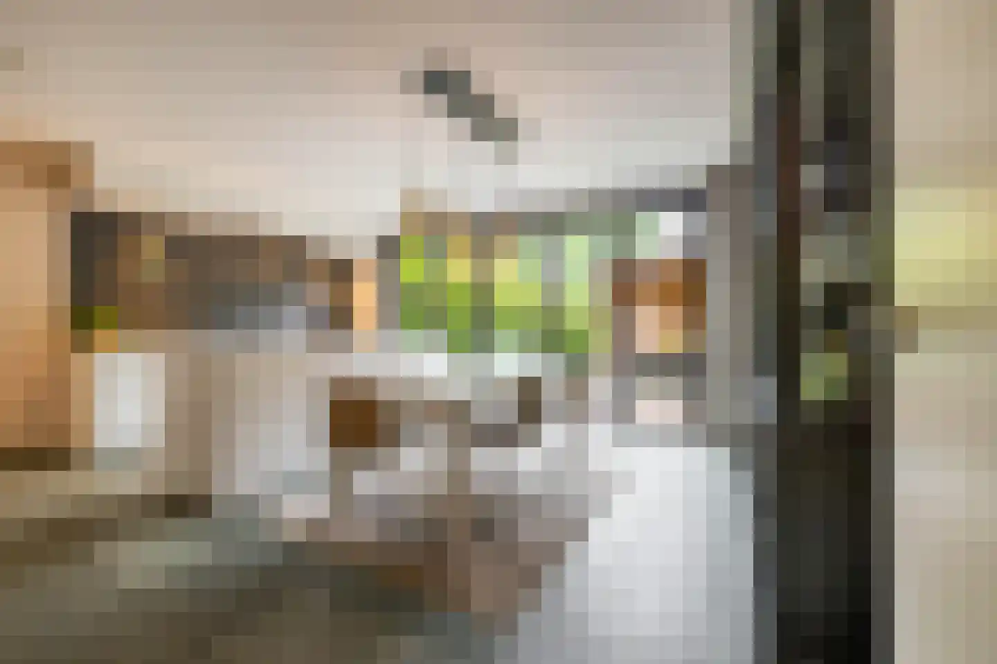 Eridanusstraat 10 Groningen thumbnail 11