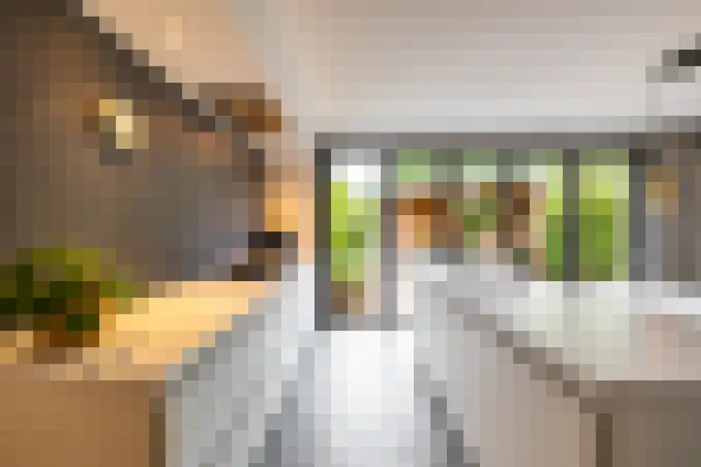 Eridanusstraat 10 Groningen thumbnail 13