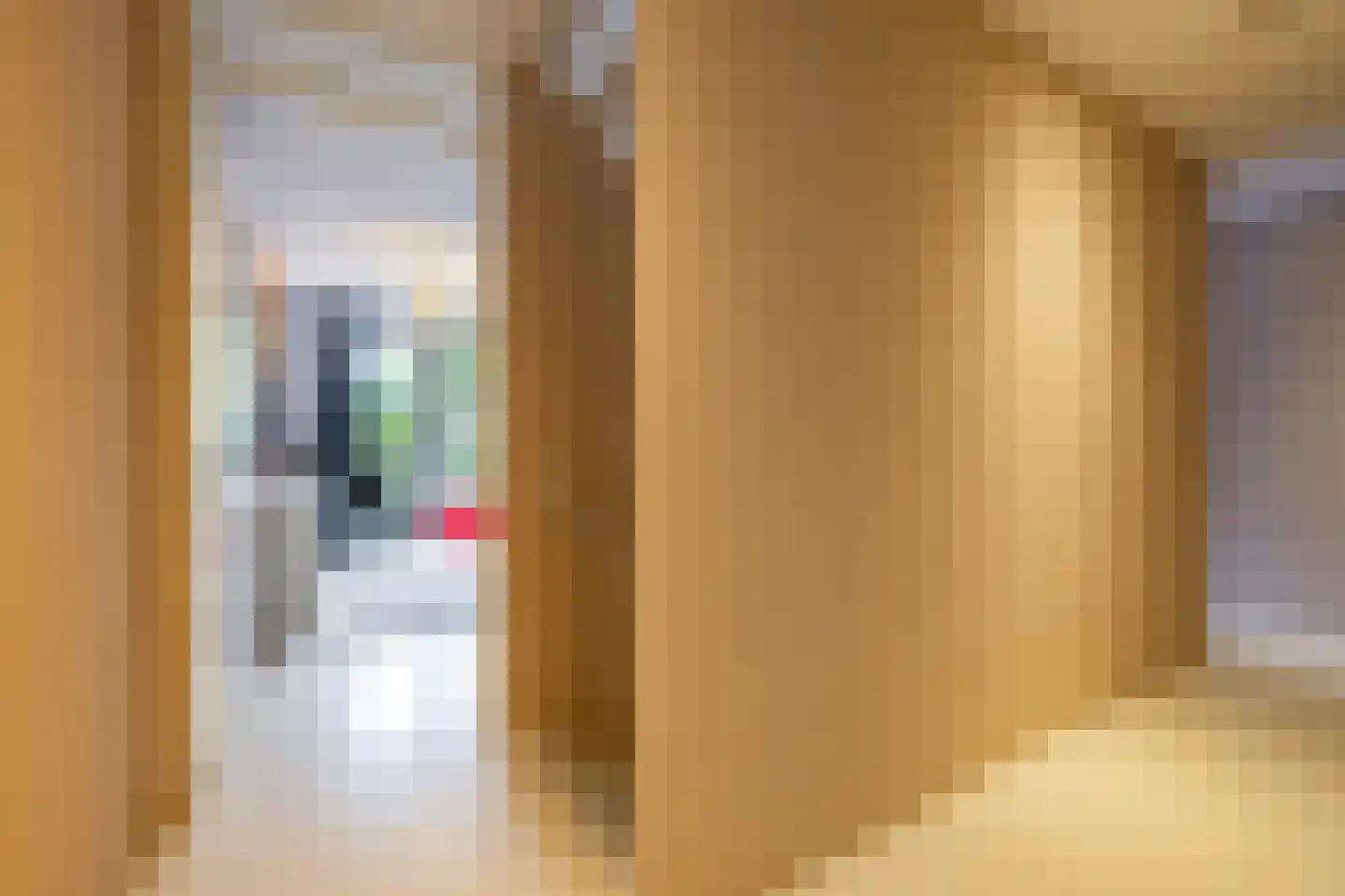 Eridanusstraat 10 Groningen thumbnail 26