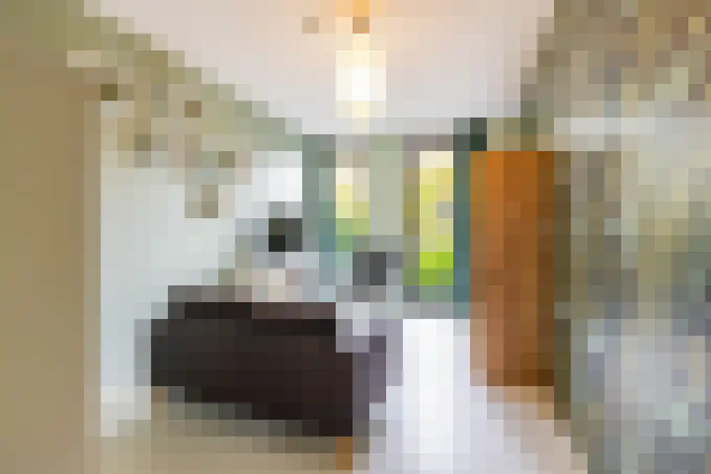 Eridanusstraat 10 Groningen thumbnail 29