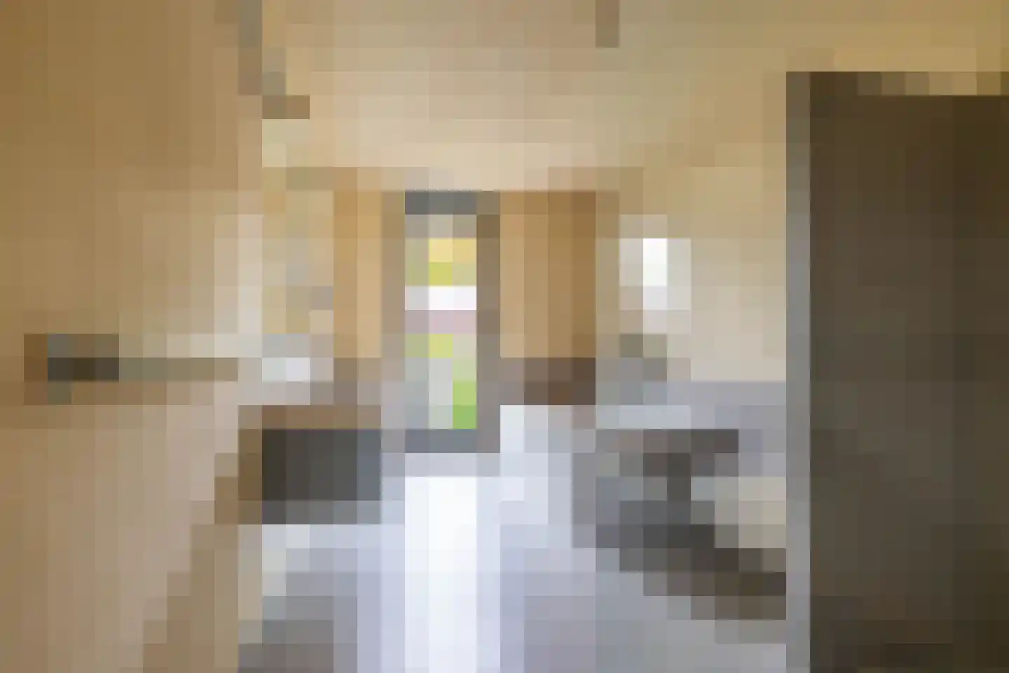 Eridanusstraat 10 Groningen thumbnail 33
