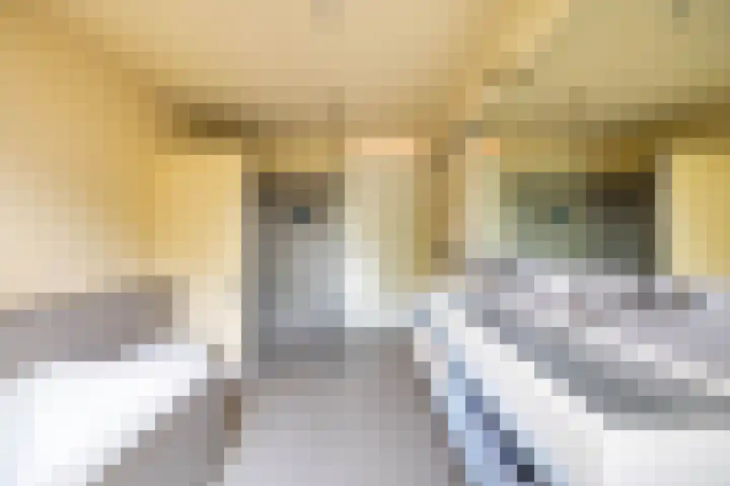 Eridanusstraat 10 Groningen thumbnail 36