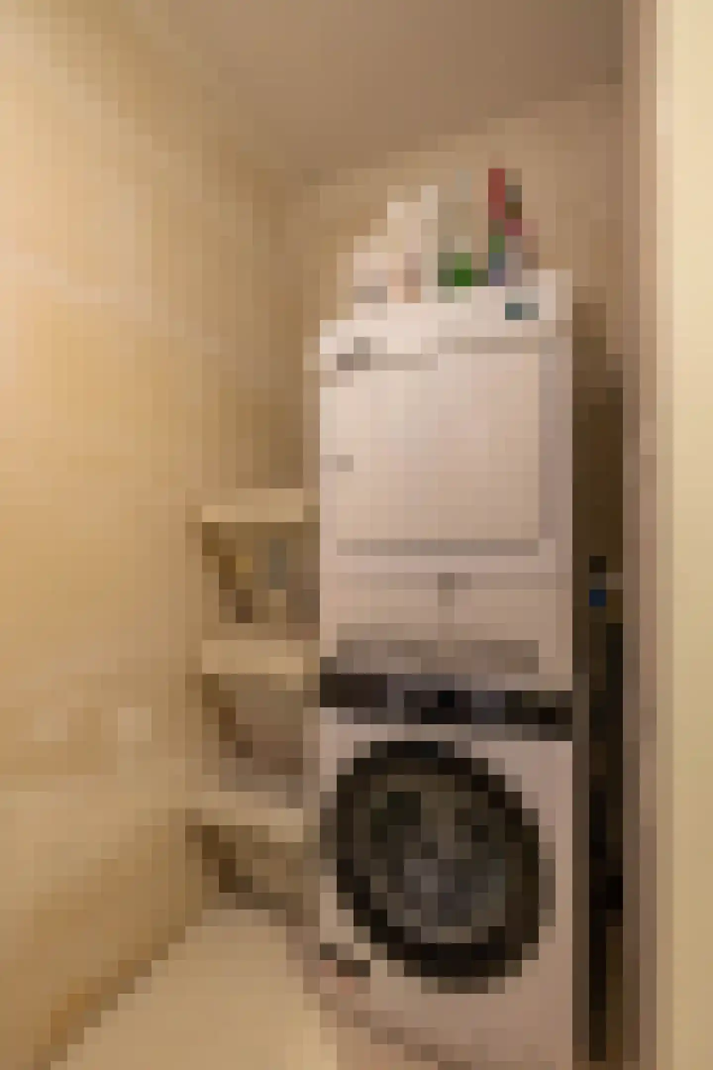 Eridanusstraat 10 Groningen thumbnail 37