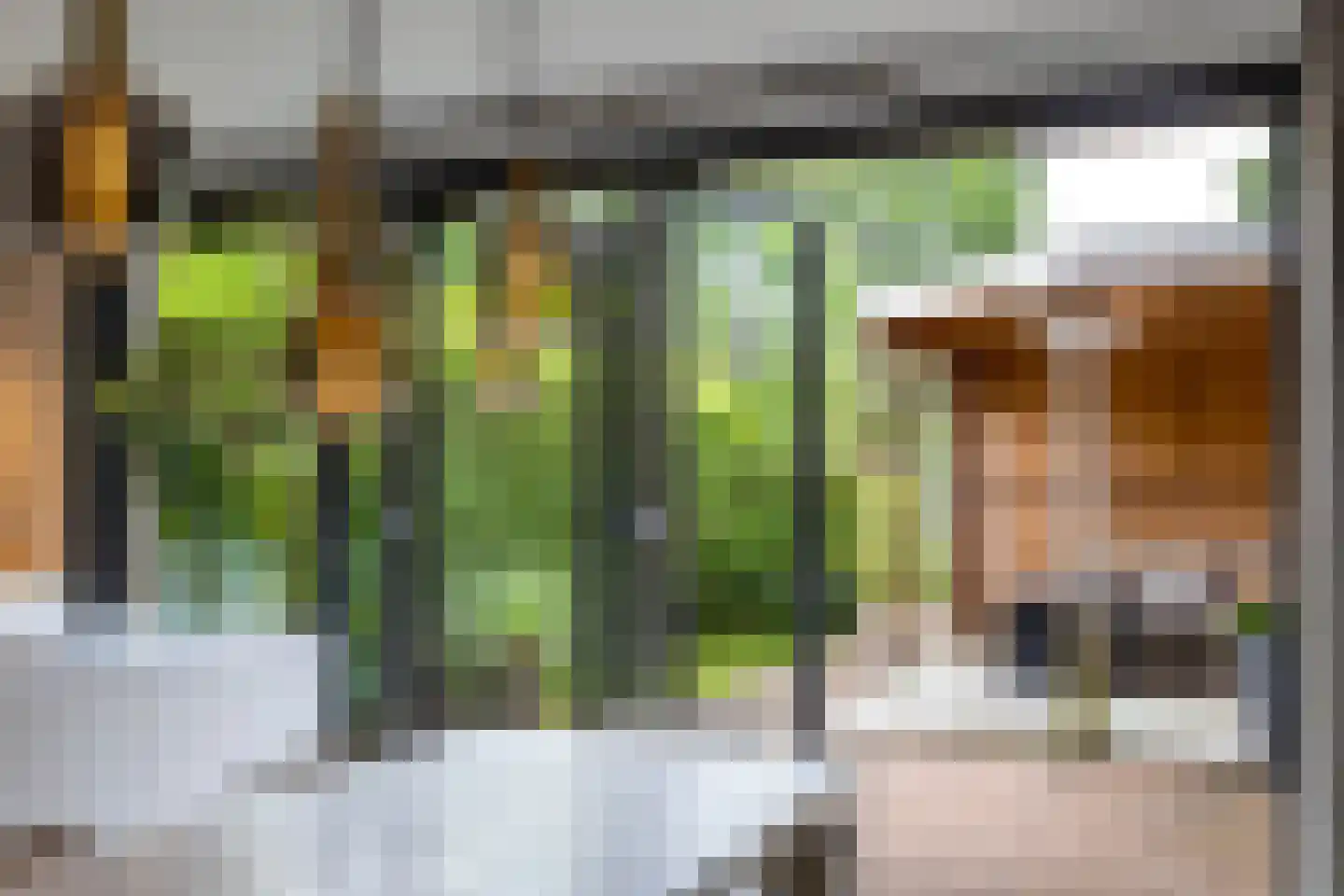 Eridanusstraat 10 Groningen thumbnail 4