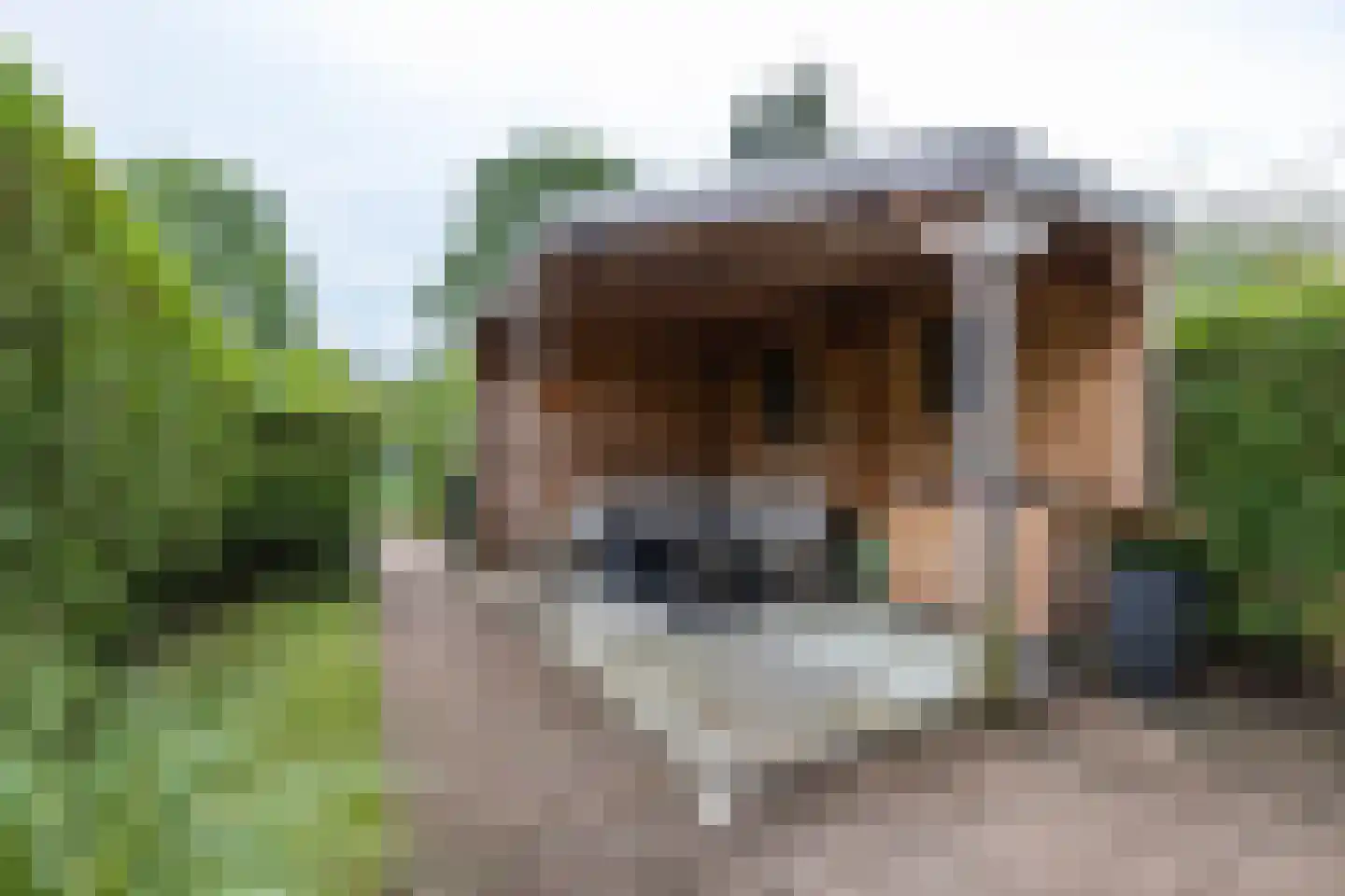 Eridanusstraat 10 Groningen thumbnail 48