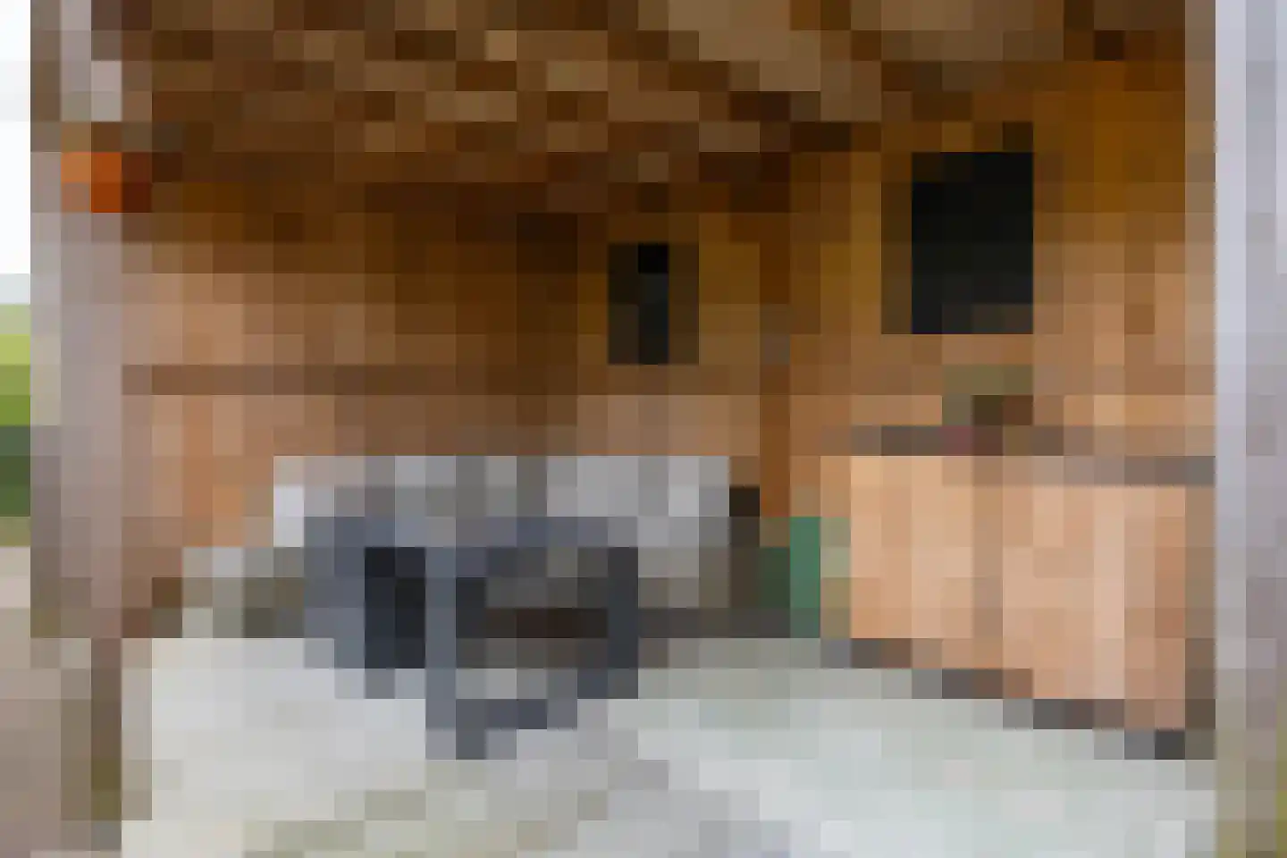 Eridanusstraat 10 Groningen thumbnail 49