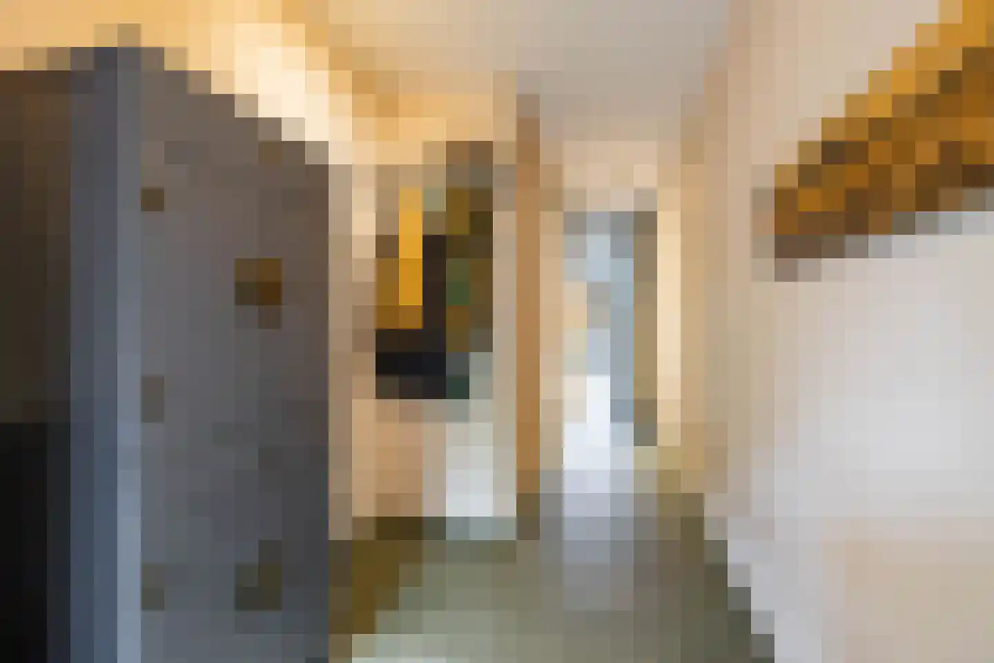 Eridanusstraat 10 Groningen thumbnail 9