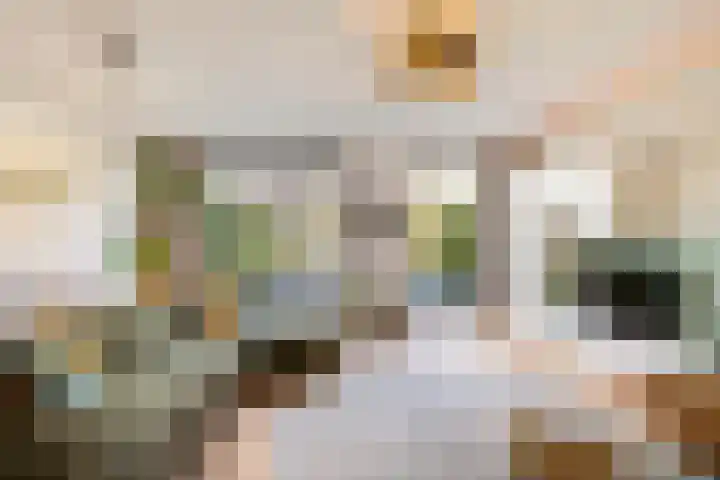 Eridanusstraat 20 Groningen thumbnail 16