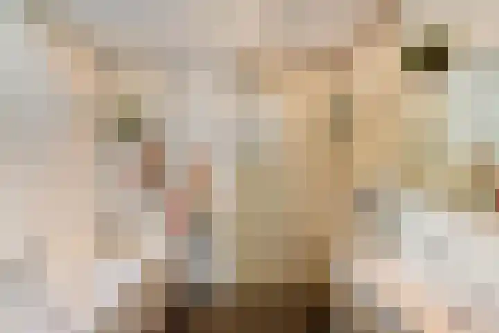 Eridanusstraat 20 Groningen thumbnail 18
