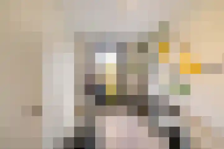 Eridanusstraat 20 Groningen thumbnail 23
