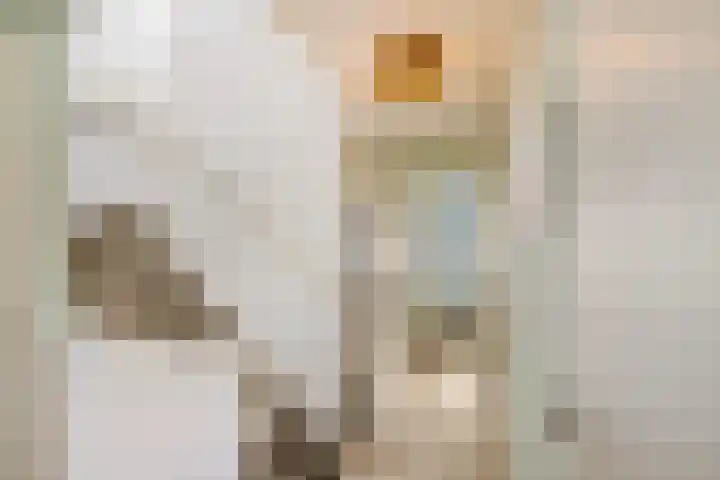 Eridanusstraat 20 Groningen thumbnail 31
