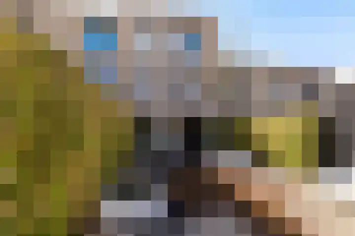 Eridanusstraat 20 Groningen thumbnail 41