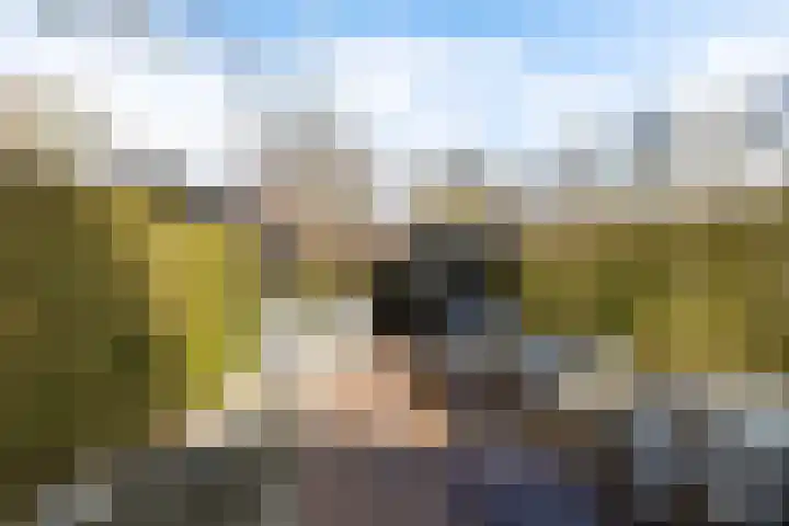 Eridanusstraat 20 Groningen thumbnail 42