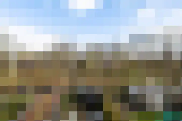 Eridanusstraat 20 Groningen thumbnail 45