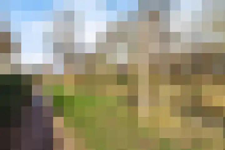 Eridanusstraat 20 Groningen thumbnail 48