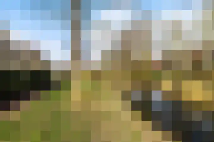 Eridanusstraat 20 Groningen thumbnail 49