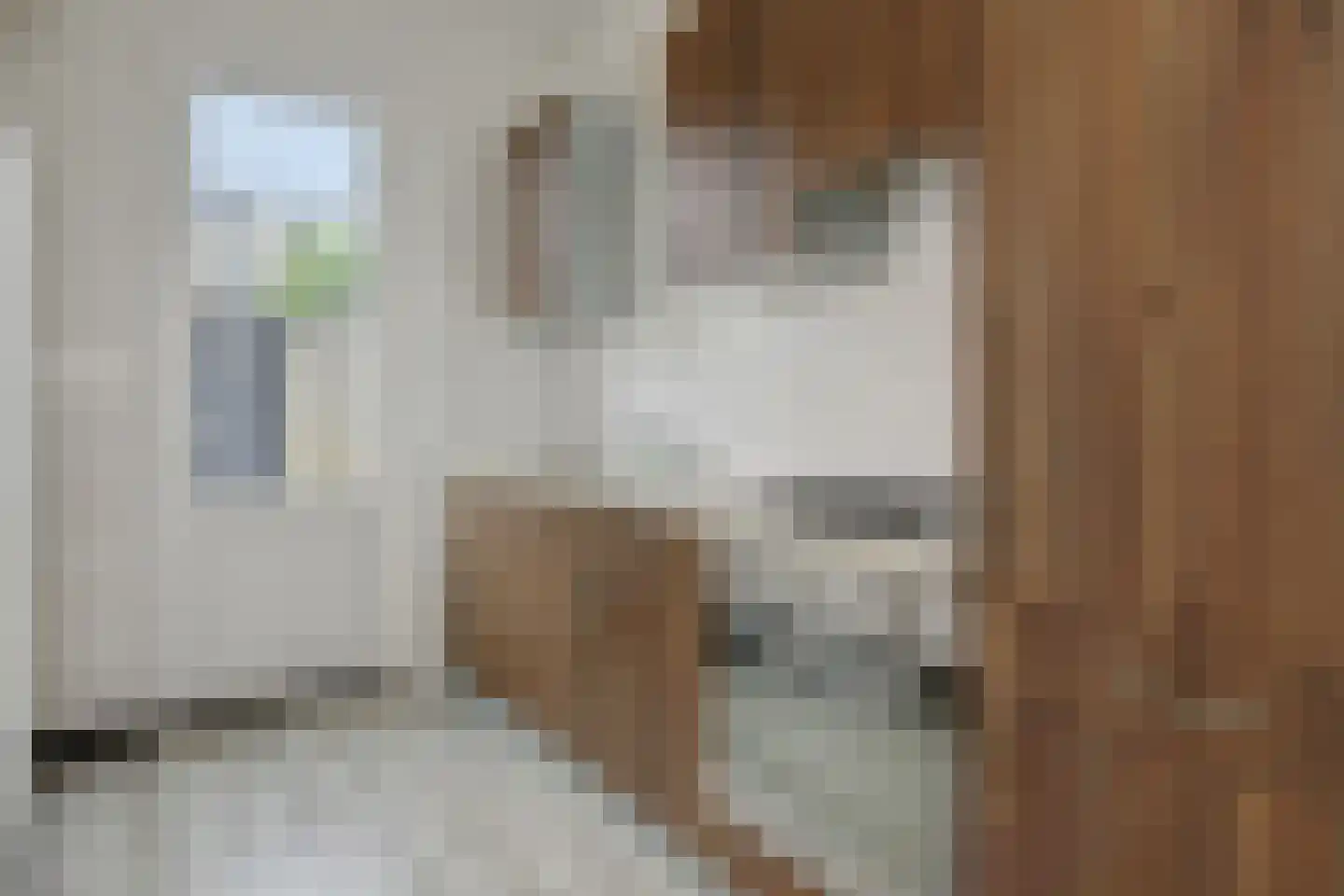 Erik de Rodestraat 18 's-Hertogenbosch thumbnail 6