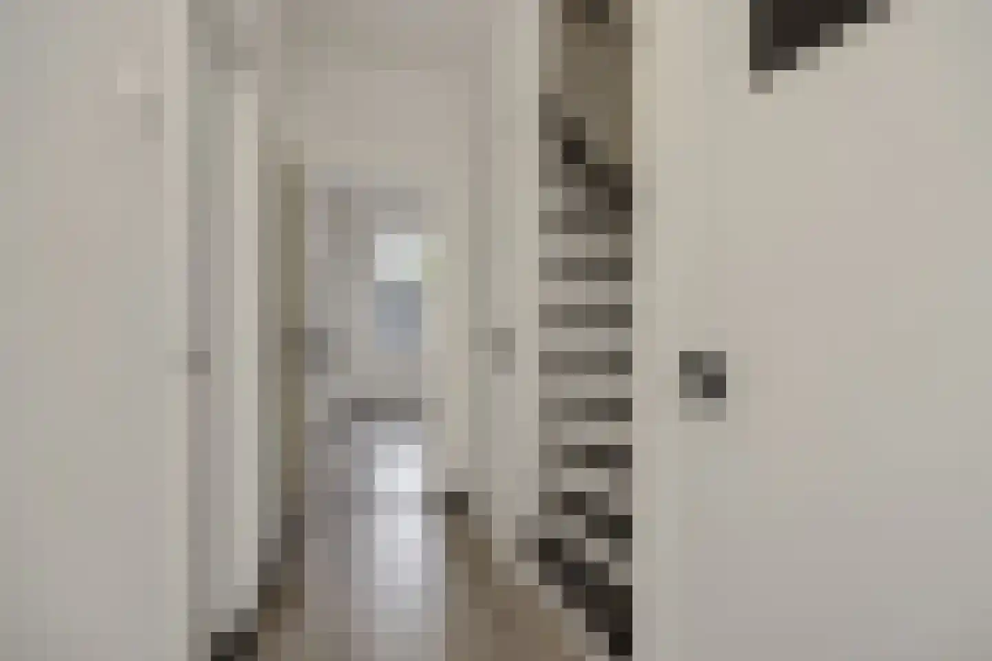 Erik de Rodestraat 18 's-Hertogenbosch thumbnail 8