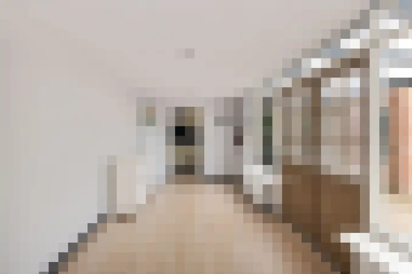Erik de Rodestraat 19 's-Hertogenbosch thumbnail 20