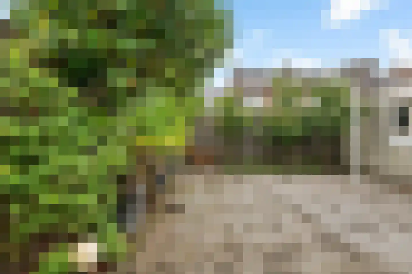 Erik de Rodestraat 19 's-Hertogenbosch thumbnail 45